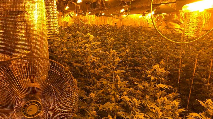 Suđenje bez iznošenja odbrane